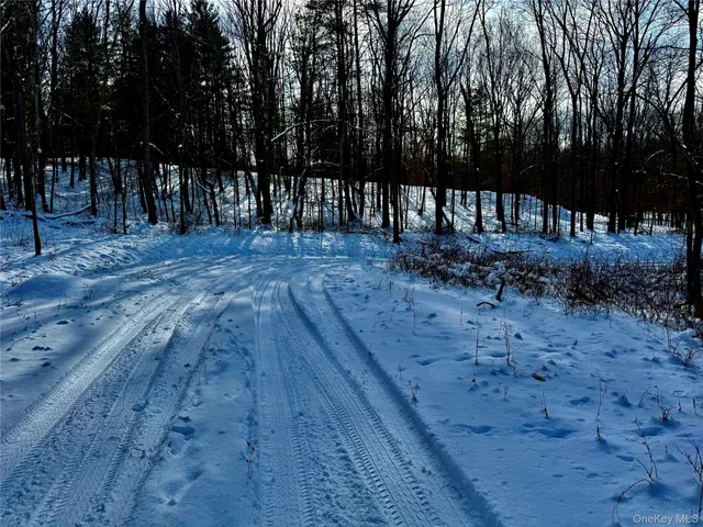 $259,000 | 266 Pitts Road, Chatham, NY 12136