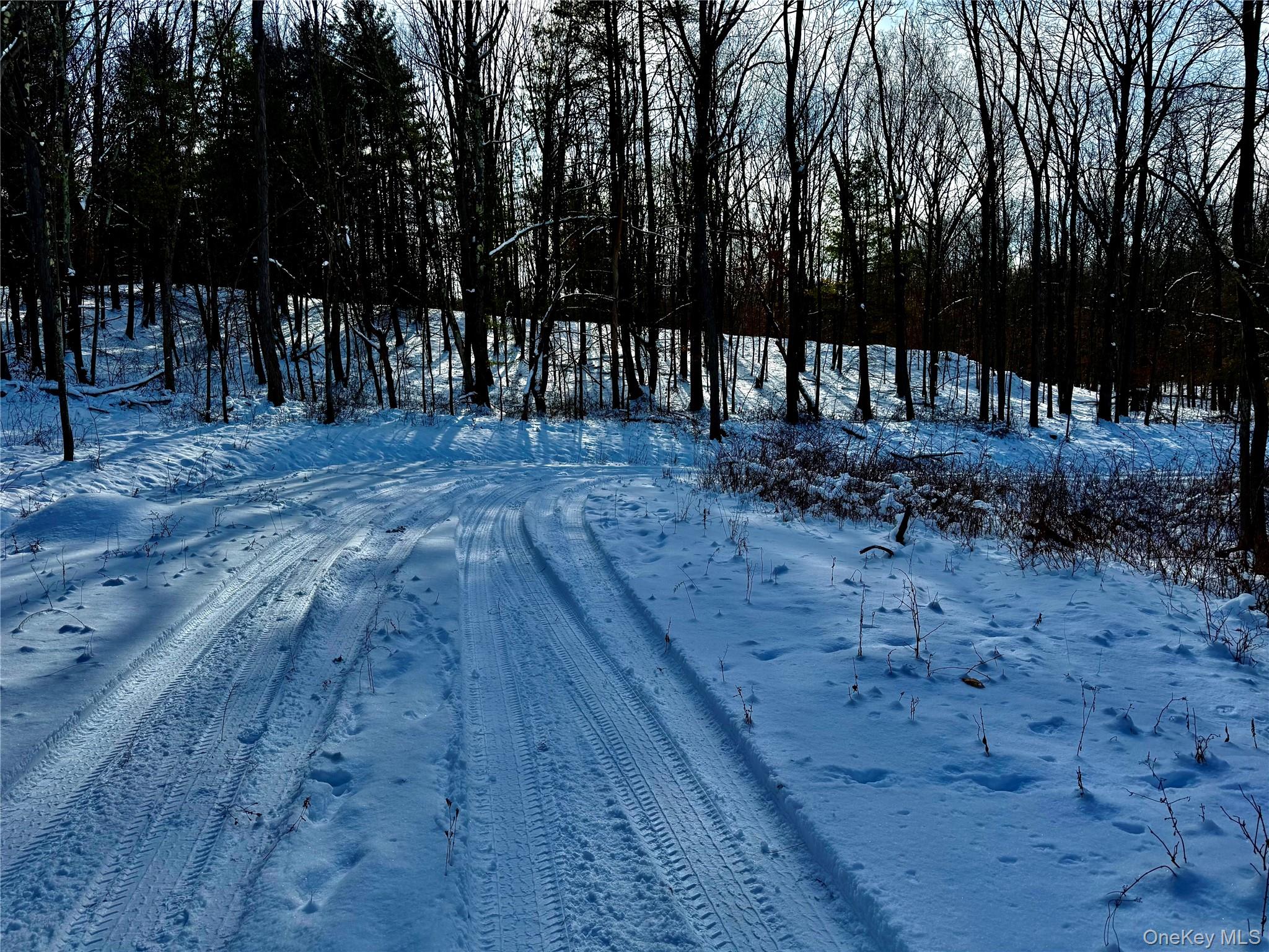 266 Pitts Road Chatham, NY 12136 - Photo 10 of 13