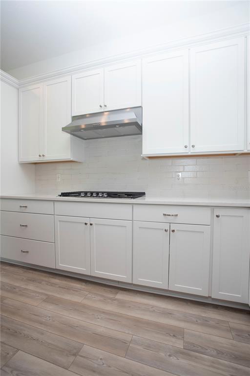 14184 Hammock Crest Way Riverview, FL 33569 - Photo 30 of 54 a view of cabinets and wooden floor