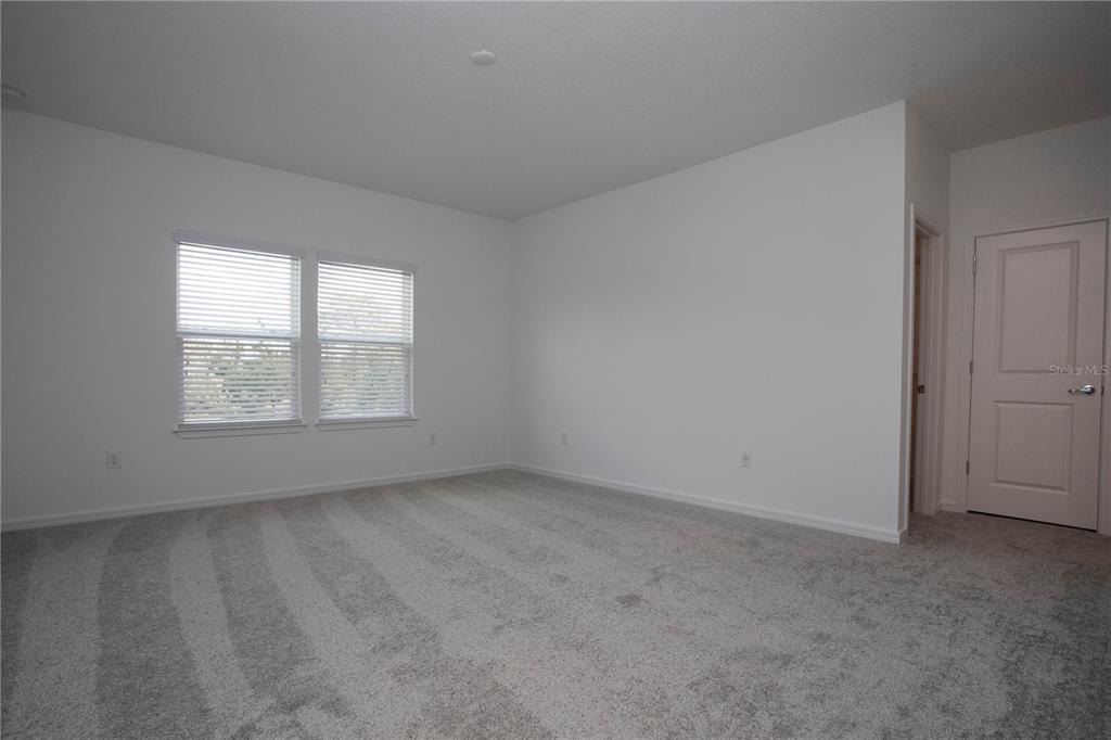 14184 Hammock Crest Way Riverview, FL 33569 - Photo 34 of 54 an empty room with windows
