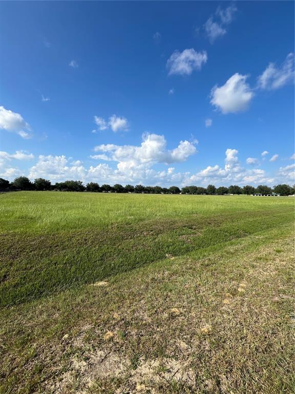 Tbd Northwest 54th Loop Ocala, FL 34475 - Photo 3 of 4