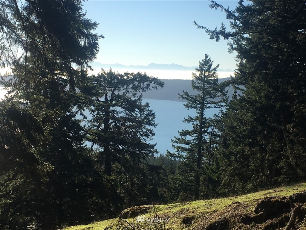 8 Decatur Highlands Decatur Island Anacortes, WA 98221 - Photo 1 of 15