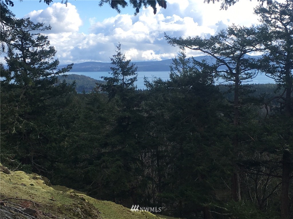 8 Decatur Highlands Decatur Island Anacortes, WA 98221 - Photo 4 of 15
