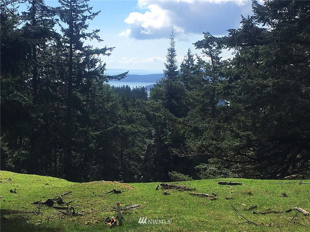 8 Decatur Highlands Decatur Island Anacortes, WA 98221 - Photo 7 of 15