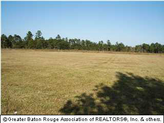 31322 Harry Sherman Road Albany, LA 70711 - Photo 1 of 1 Gallery Image 1