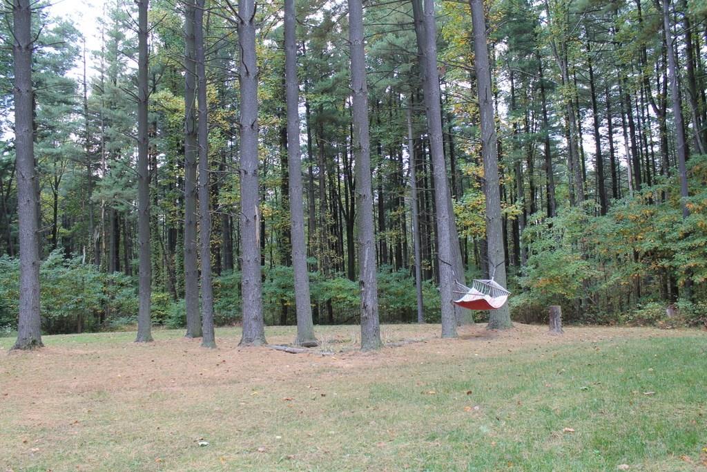 8018 Garrity Road Seymour, IN 47274 - Photo 15 of 23 Gallery Image 15