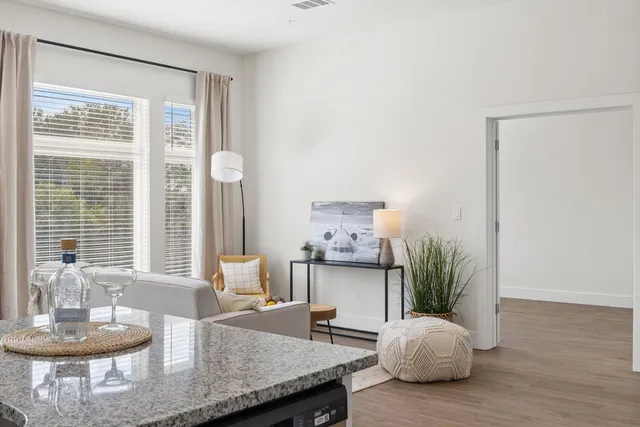 a living room with furniture and a potted plant
