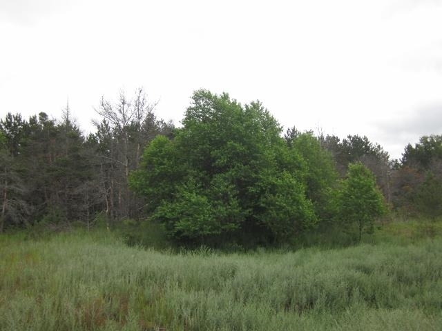 117 County Line Road Northeast Mancelona, MI 49659 - Photo 2 of 27 1787192-1.JPG