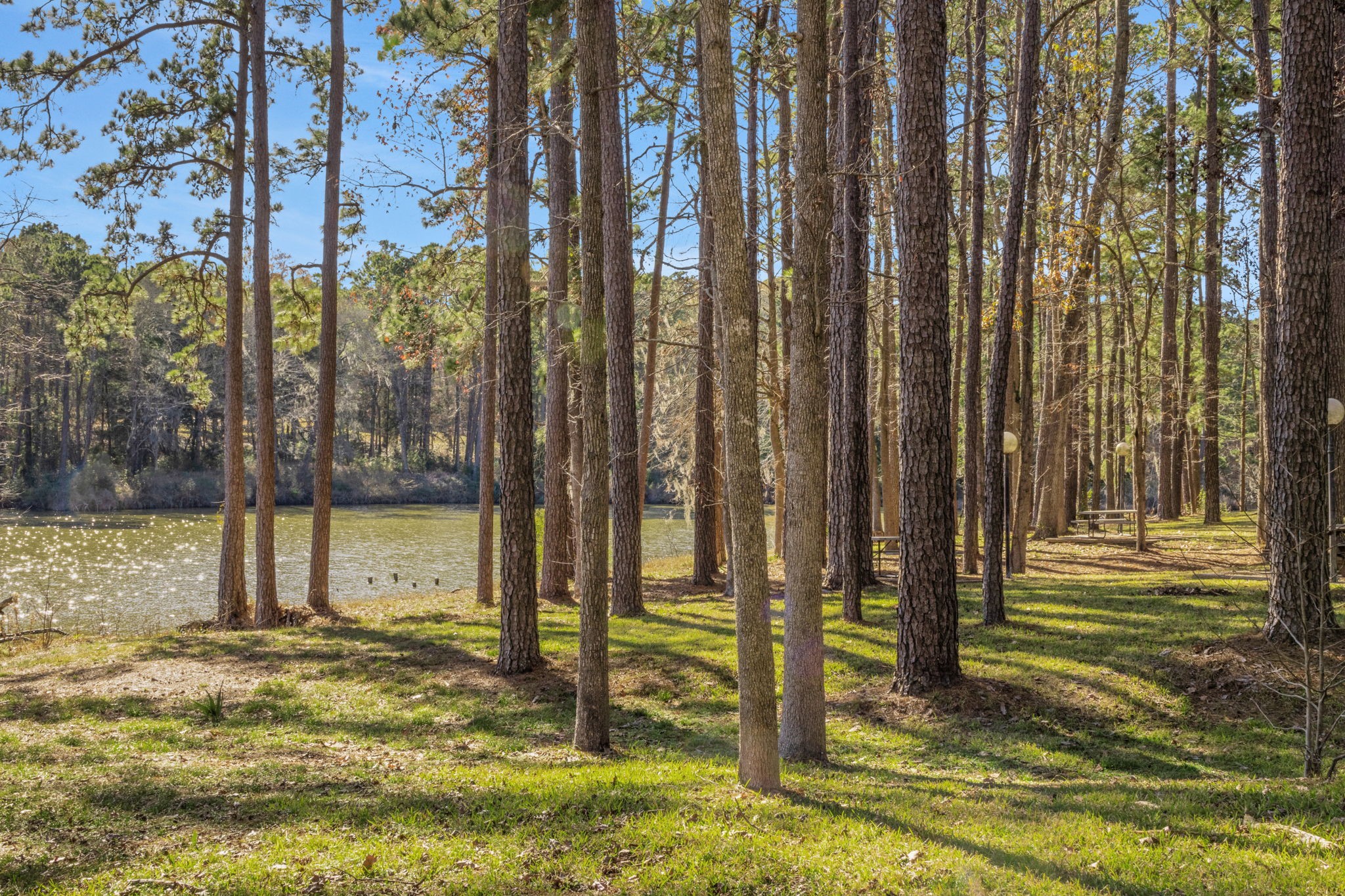 154 Villa Way Coldspring, TX 77331 - Photo 28 of 42 You can enjoy the shared outdoor space between the townhomes and the marina lagoon