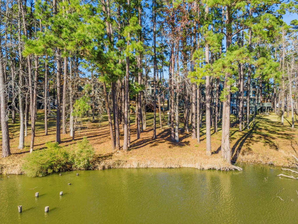 154 Villa Way Coldspring, TX 77331 - Photo 29 of 42 The lagoon is great for fishing or watching the turtles!