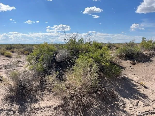 a view of a lake in middle of a forest