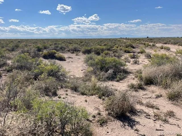 $31,500 | Lot 15 Co Road, Alamosa, CO 81101