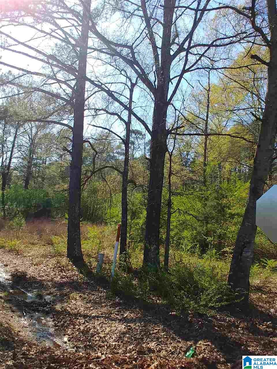 0 Roberts Mill Pond Road, Unit 1 39 Pell City, AL 35128 - Photo 21 of 29