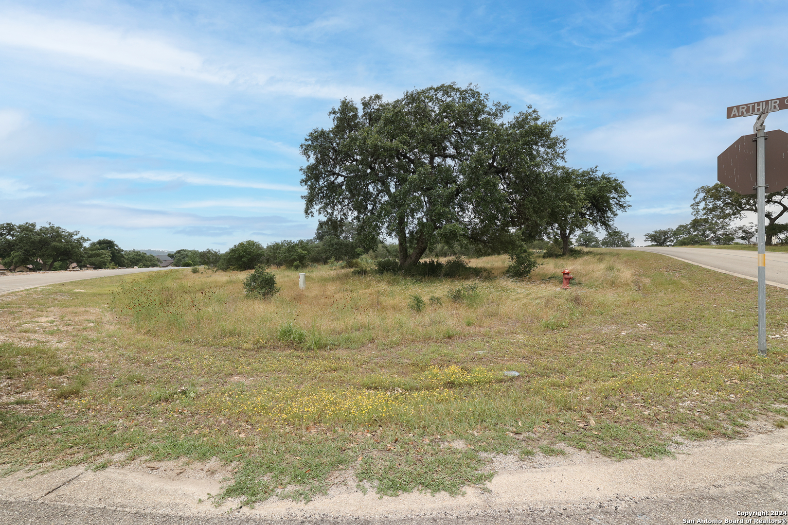 Lot 562 Arthur Ct / Obscure Way Spring Branch, TX 78070 - Photo 16 of 28
