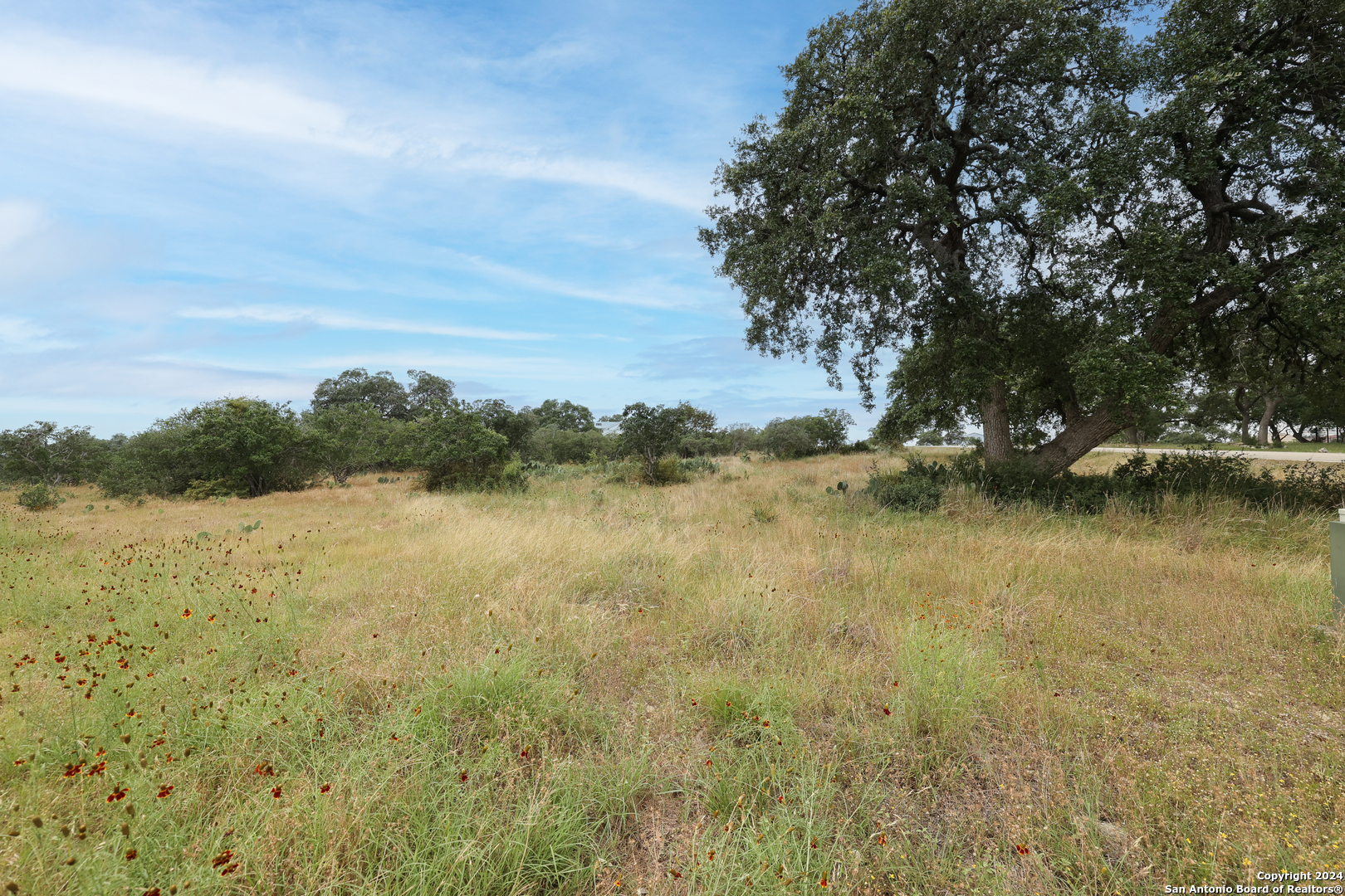 Lot 562 Arthur Ct / Obscure Way Spring Branch, TX 78070 - Photo 17 of 28