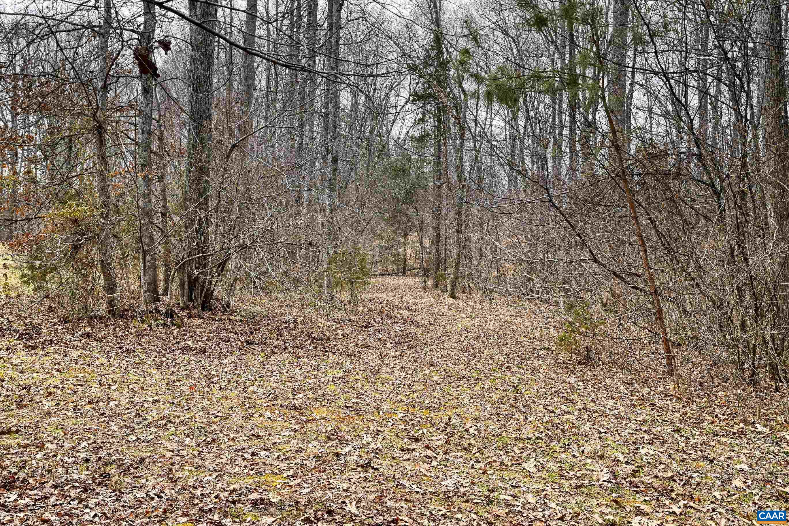 1185 Belle Meade Road Bumpass, VA 23024 - Photo 55 of 74