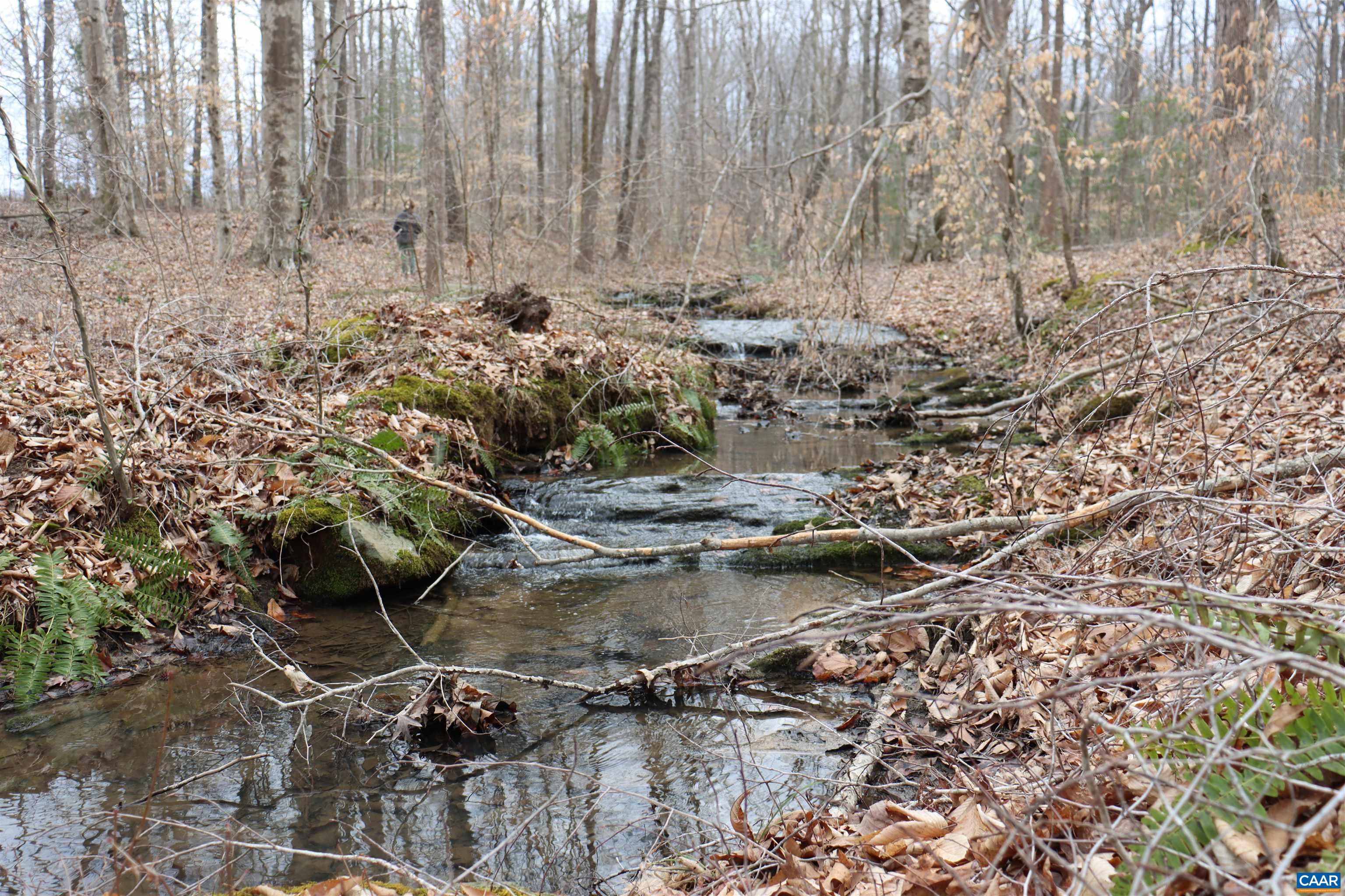 1185 Belle Meade Road Bumpass, VA 23024 - Photo 69 of 74 Creek/Stream