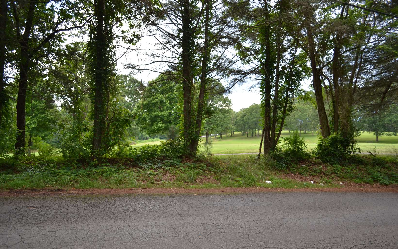 Golf Course Road Copperhill, TN 37317 - Photo 1 of 1 Main View