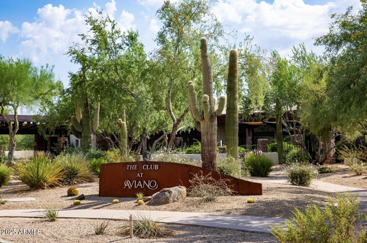 3935 East Rough Rider Road, Unit 1057 Phoenix, AZ 85050 - Photo 28 of 41 a view of a outdoor space