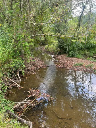 $250,000 | 6116 Paint Rock Road, Oneida, TN 37841