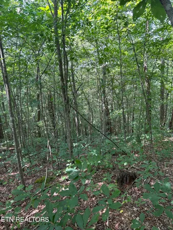 $250,000 | 6116 Paint Rock Road, Oneida, TN 37841