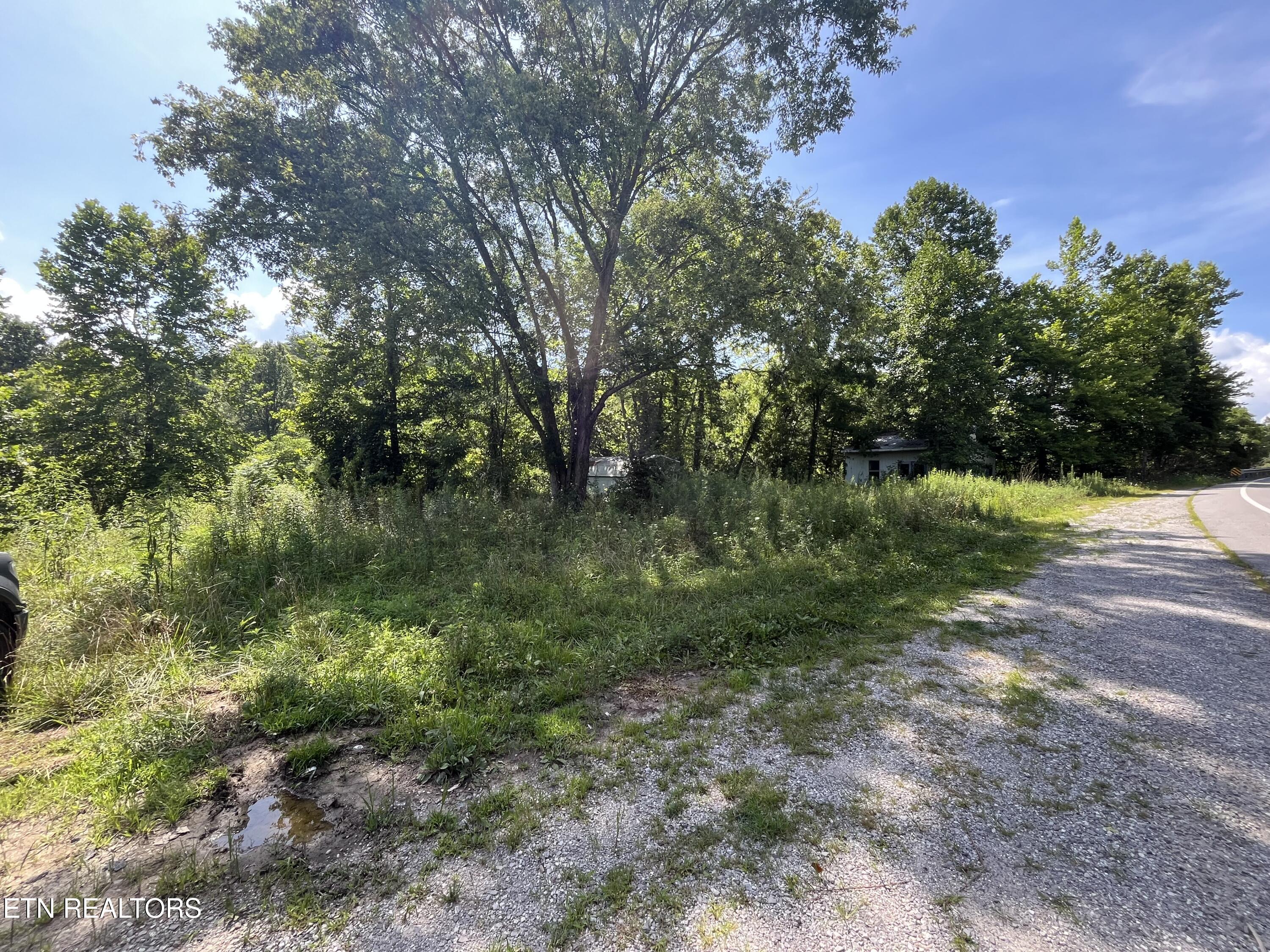 6116 Paint Rock Road Oneida, TN 37841 - Photo 14 of 16 IMG_3340