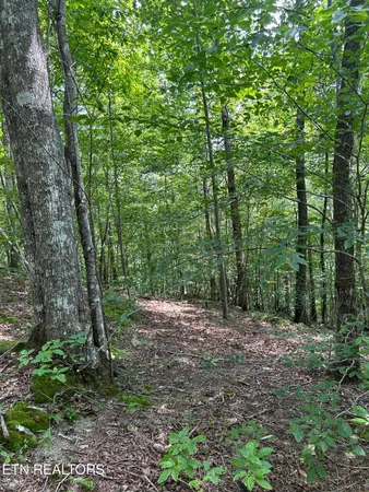 $250,000 | 6116 Paint Rock Road, Oneida, TN 37841