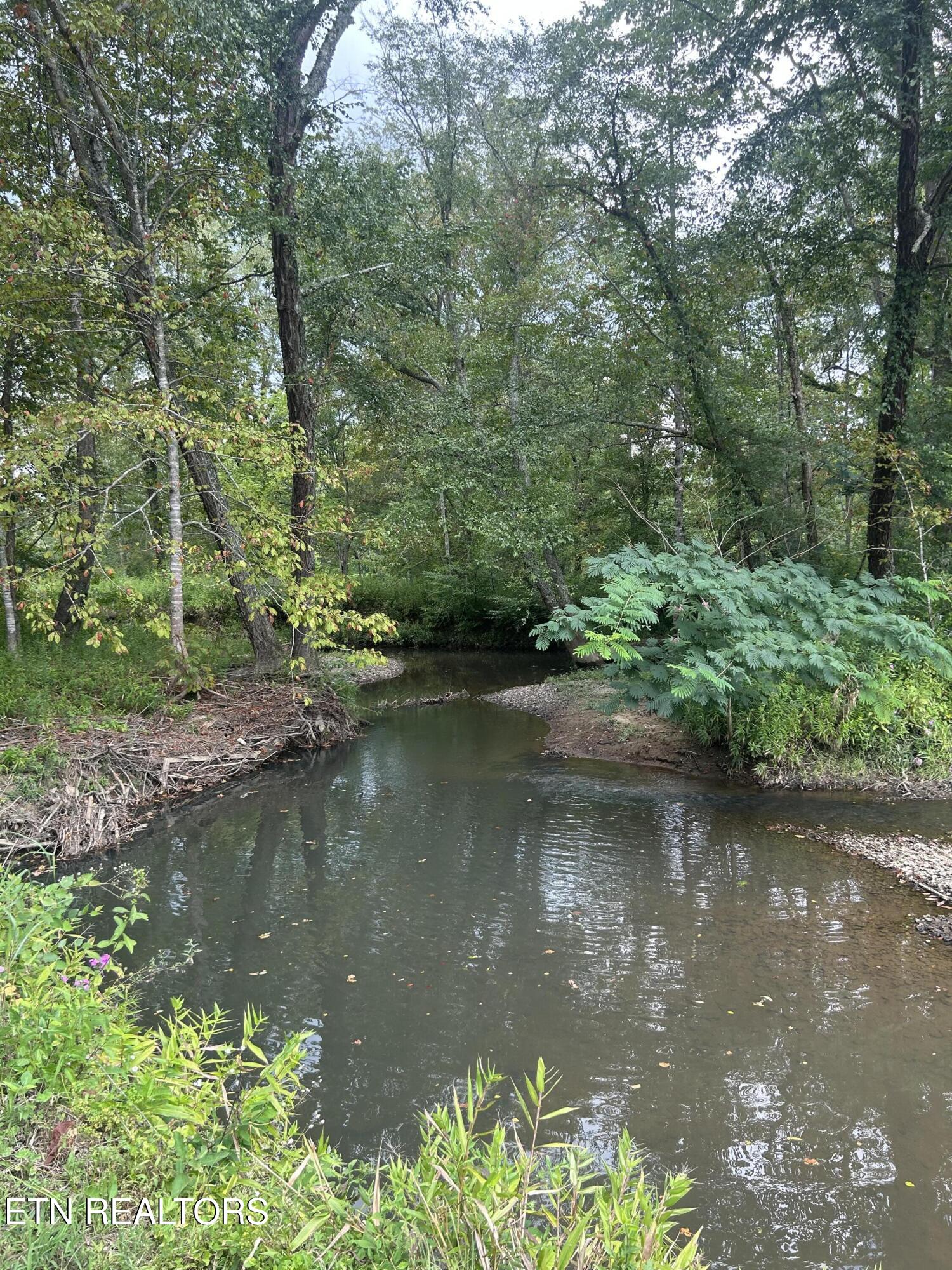 6116 Paint Rock Road Oneida, TN 37841 - Photo 8 of 16 Creek 1a