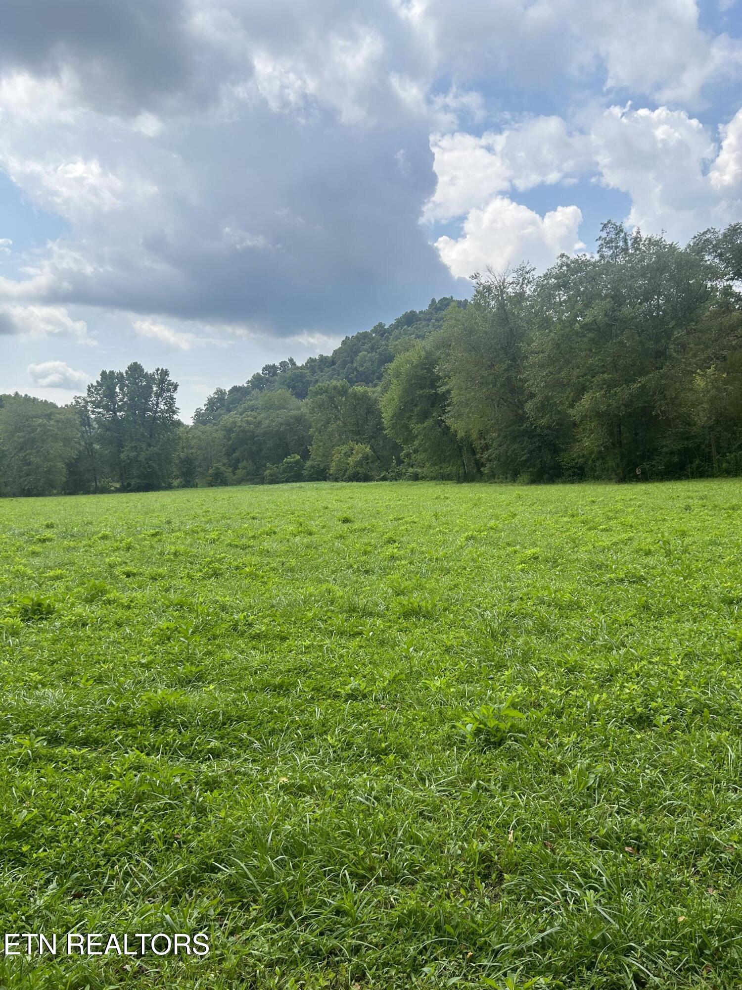 6116 Paint Rock Road Oneida, TN 37841 - Photo 10 of 16 Field 3