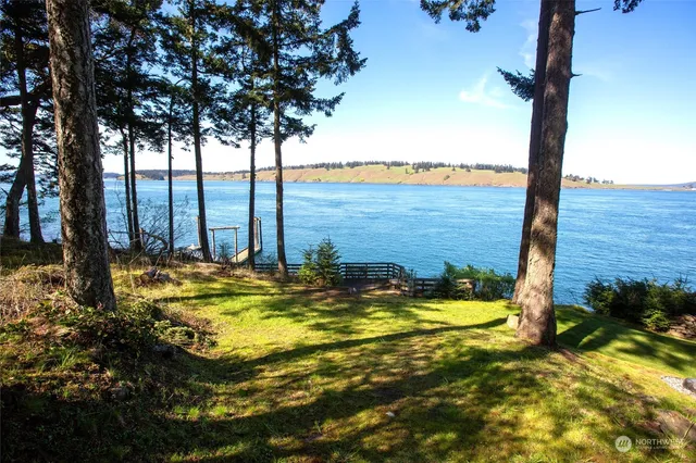 a view of a back yard