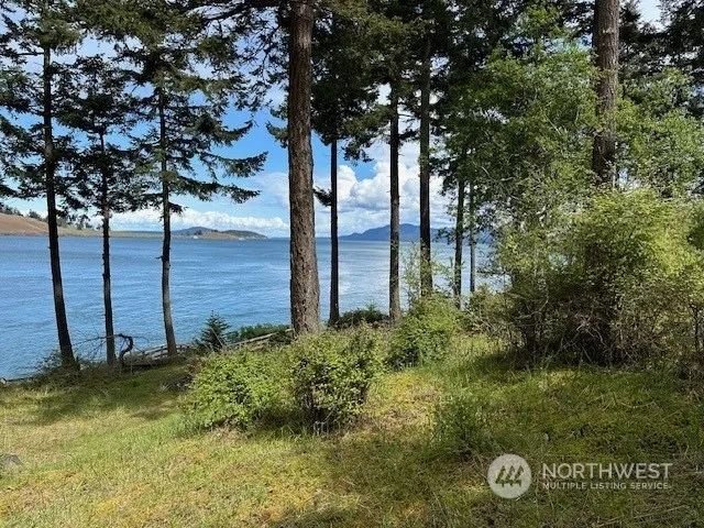 a view of a tree with a yard