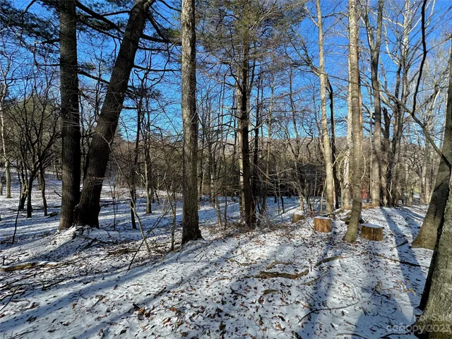 $99,900 | T4 Seneca Drive, Boone, NC 28607