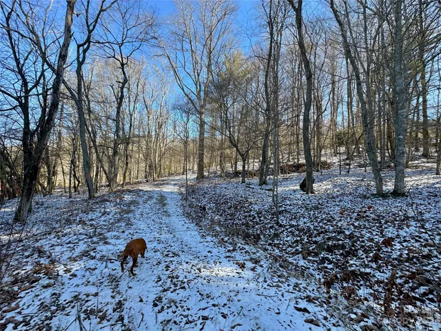 $99,900 | T4 Seneca Drive, Boone, NC 28607