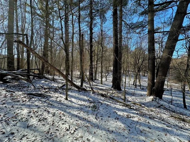 $99,900 | T4 Seneca Drive, Boone, NC 28607