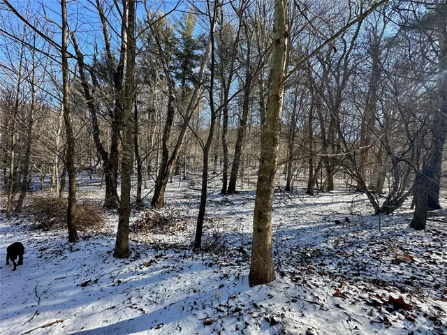 $99,900 | T4 Seneca Drive, Boone, NC 28607