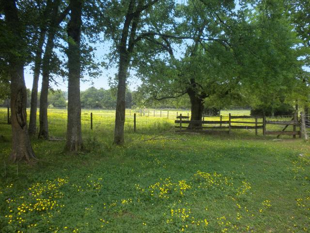 920 Bethel Road Pulaski, TN 38478 - Photo 13 of 20
