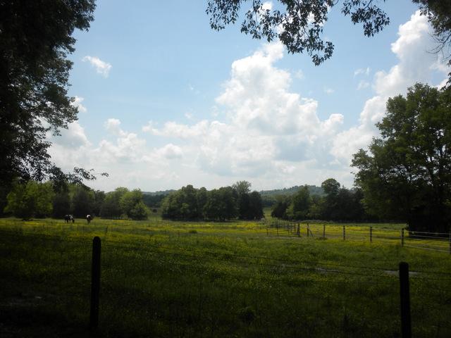 920 Bethel Road Pulaski, TN 38478 - Photo 18 of 20