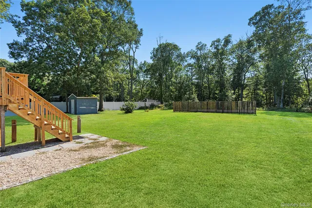 a view of a park with large trees