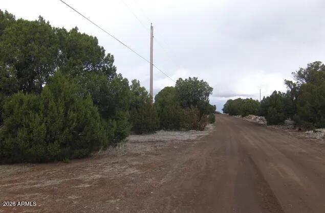 1862 Pronghorn Road, Unit 31 Show Low, AZ 85901 - Photo 13 of 14 1