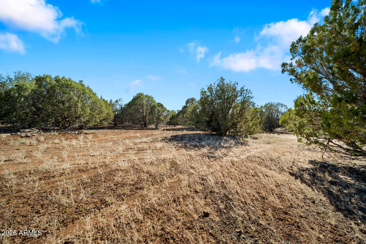 1862 Pronghorn Road, Unit 31 Show Low, AZ 85901 - Photo 3 of 14 TF-2_(2048)