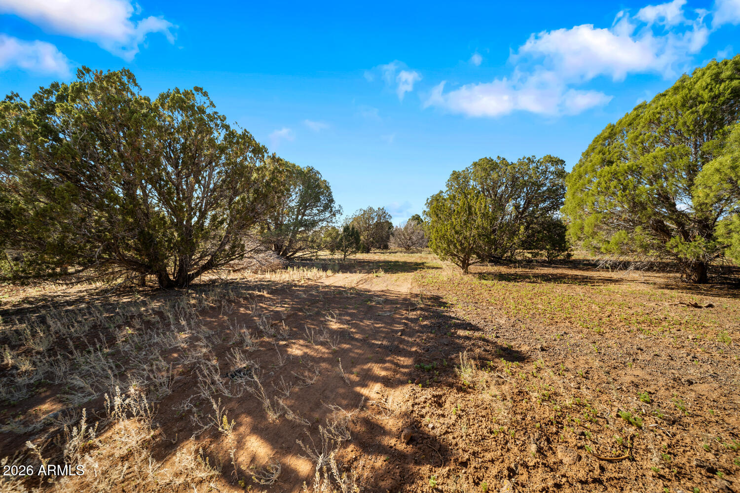 1862 Pronghorn Road, Unit 31 Show Low, AZ 85901 - Photo 5 of 14 TF-4_(2048)