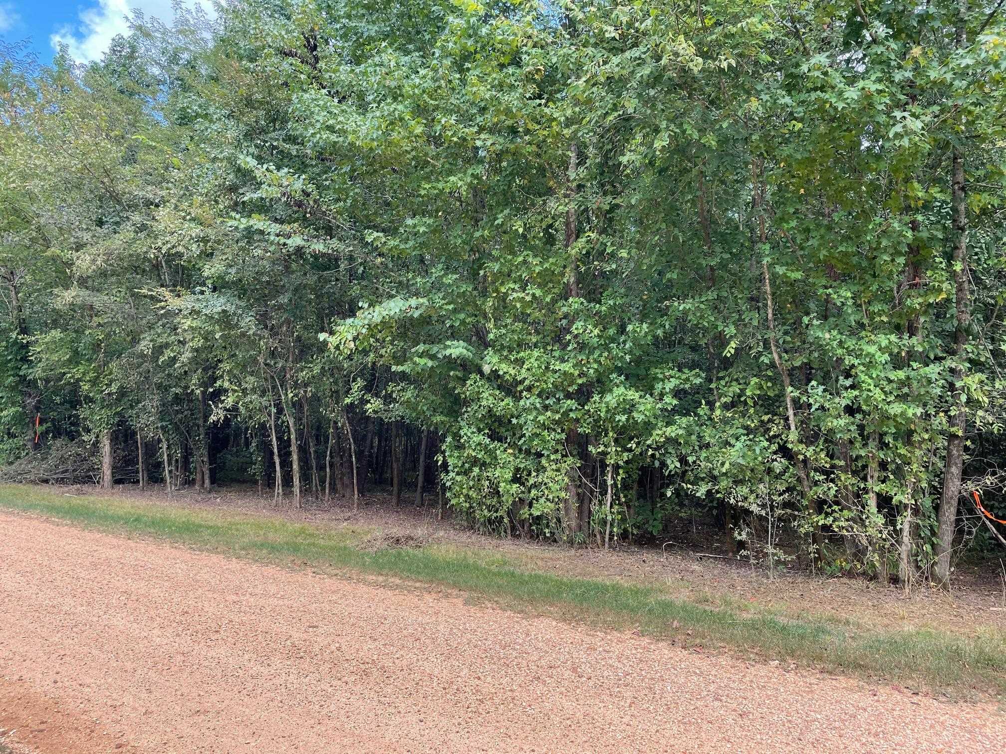 94 Towboat Lane Adamsville, TN 38310 - Photo 2 of 13