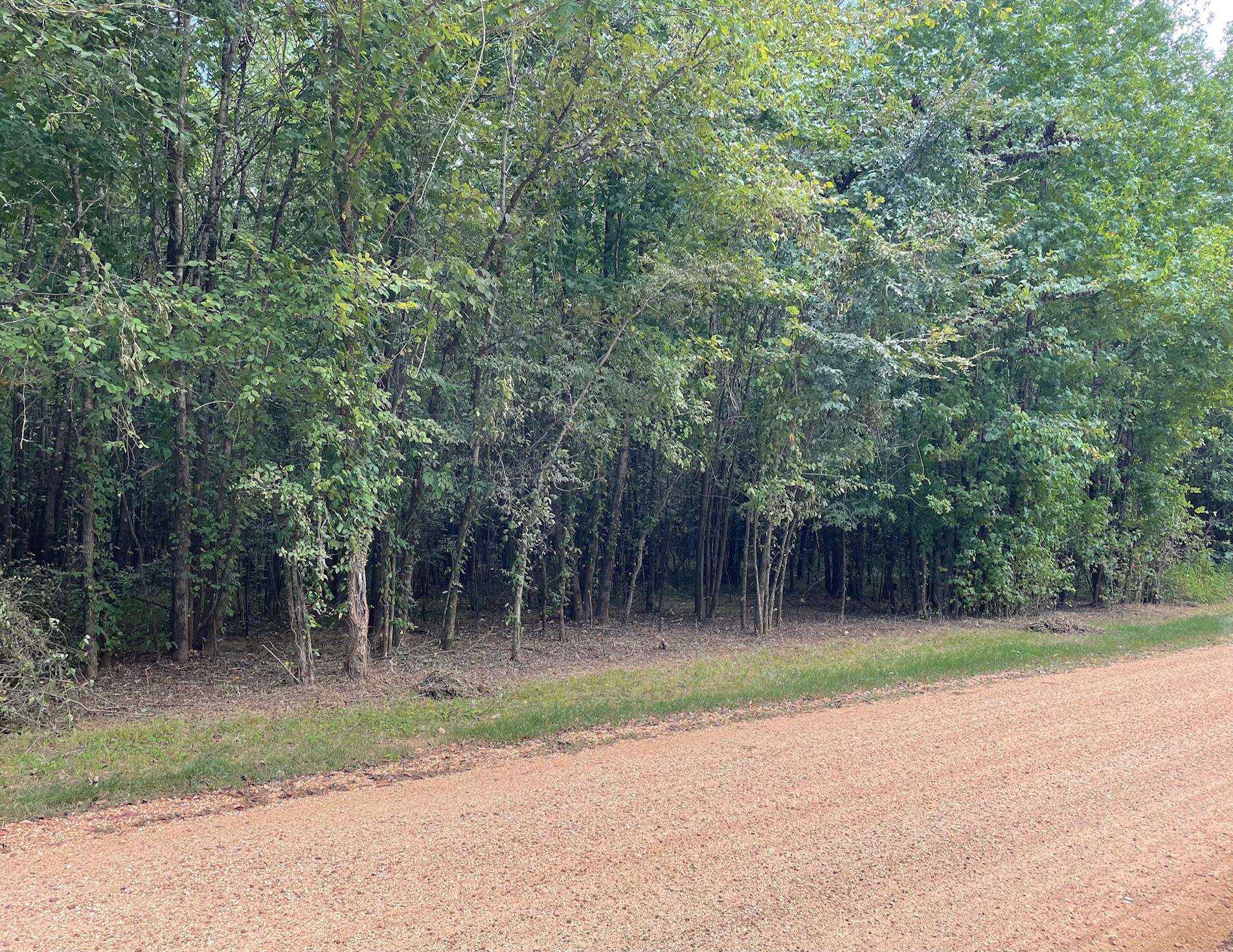 94 Towboat Lane Adamsville, TN 38310 - Photo 3 of 13 a view of a park