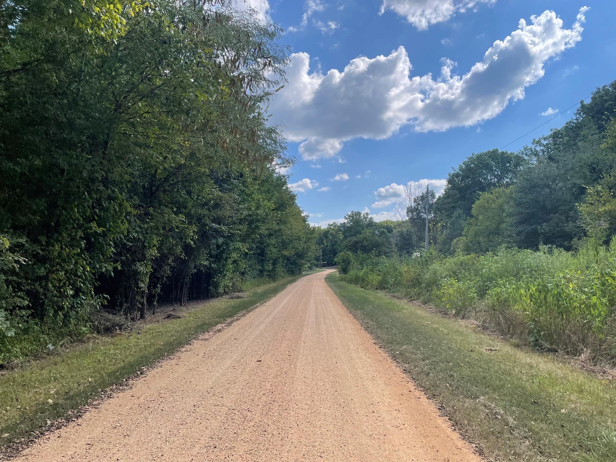 94 Towboat Lane Adamsville, TN 38310 - Photo 5 of 13 a view of a pathway both side of yard