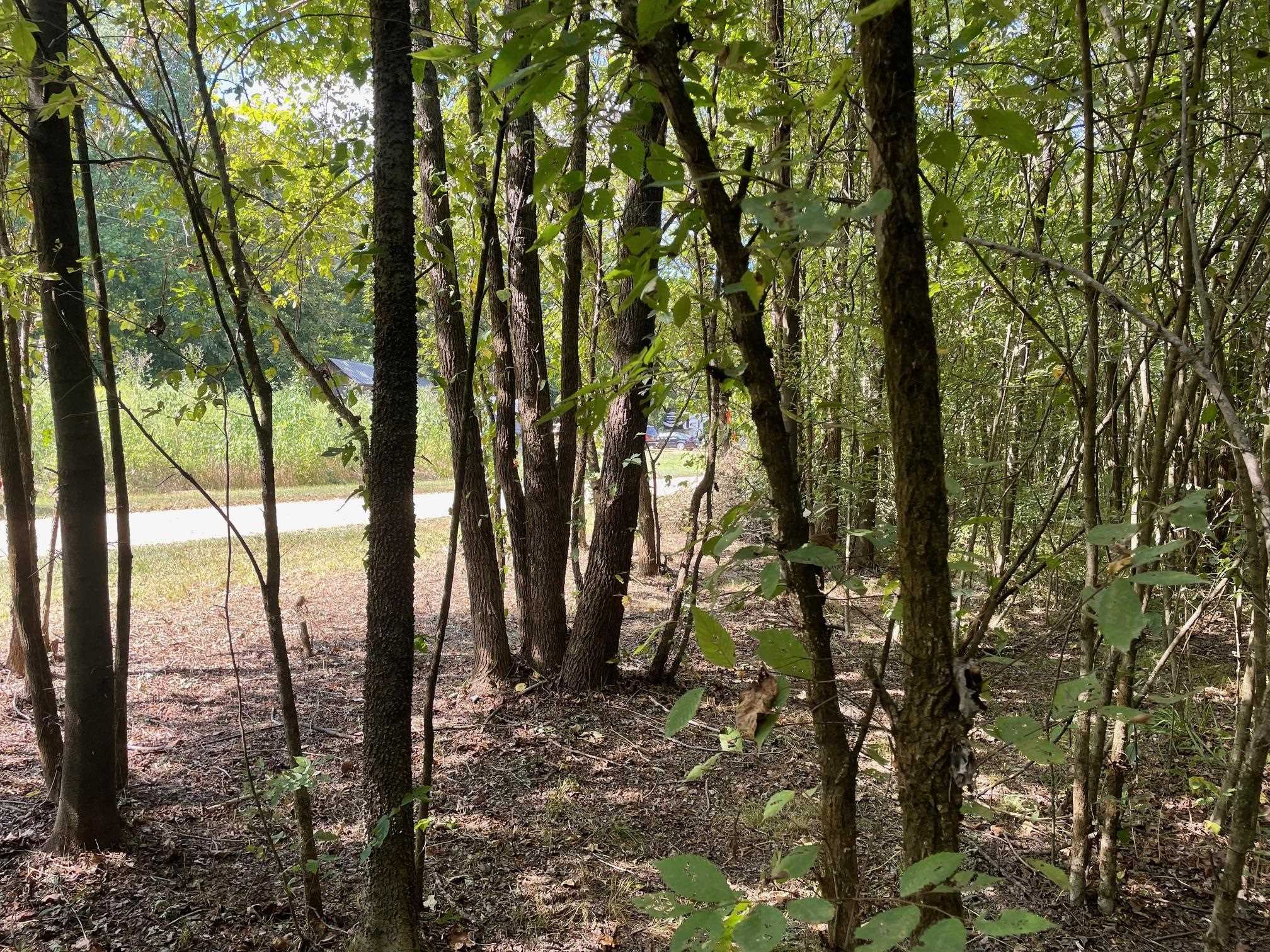 94 Towboat Lane Adamsville, TN 38310 - Photo 9 of 13 a view of outdoor space and yard