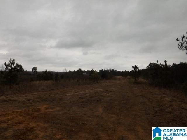 29 Highway Ac Al, Unit 33 Oneonta, AL 35121 - Photo 20 of 23