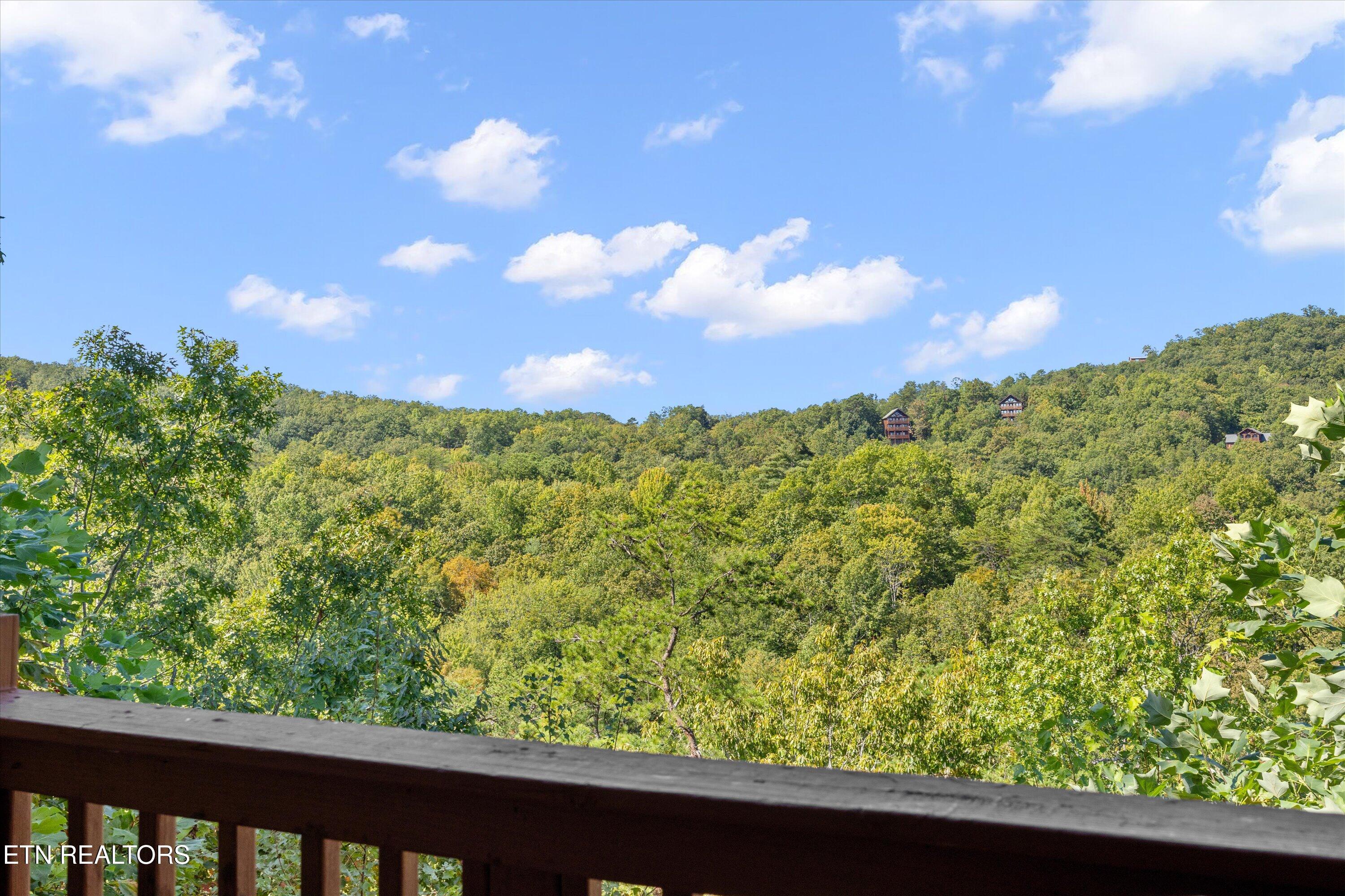 4179 Chamberlain Lane Sevierville, TN 37862 - Photo 33 of 45 32-4179 Chamberlain Way32