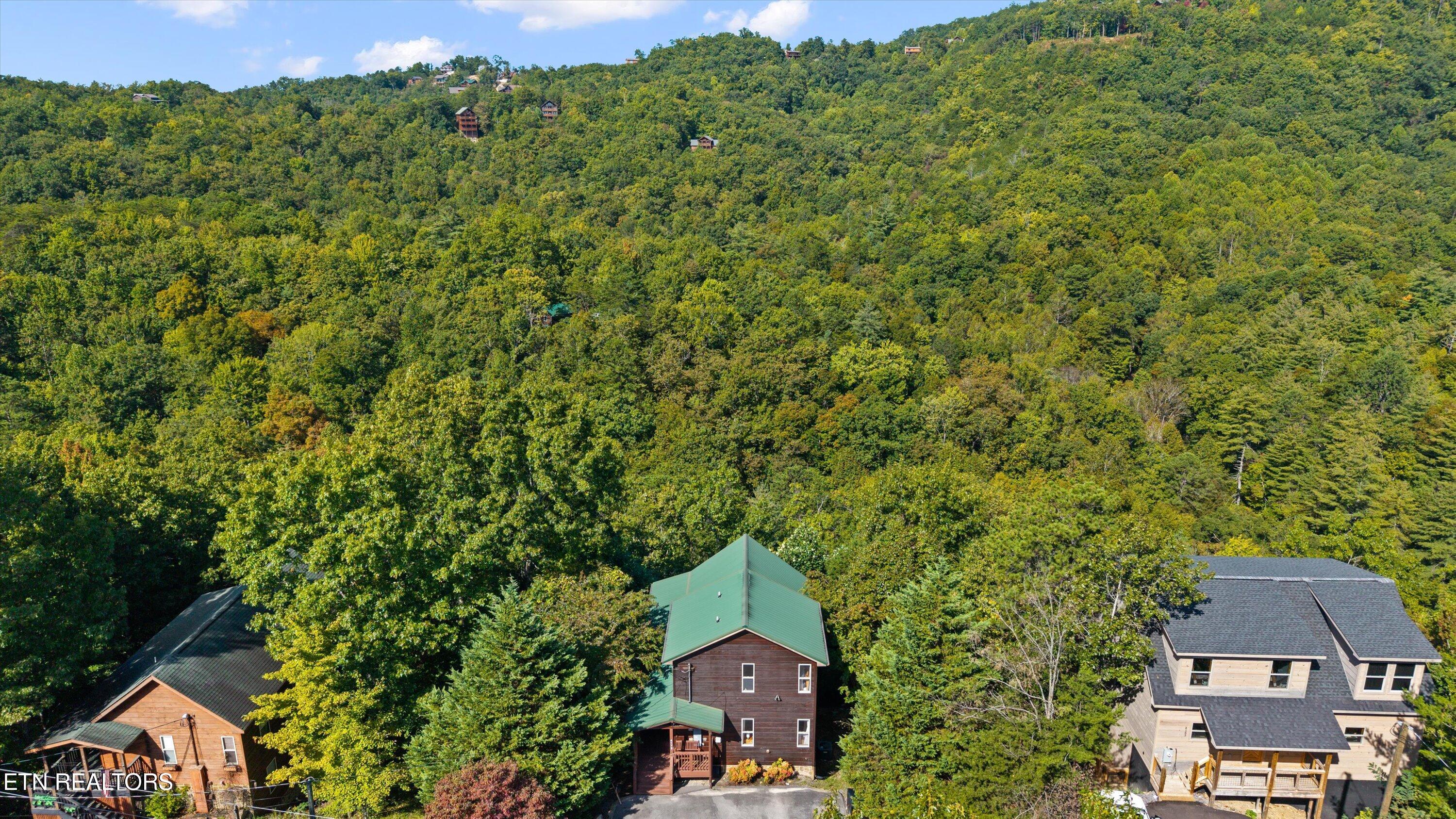 4179 Chamberlain Lane Sevierville, TN 37862 - Photo 40 of 45 40-4179 Chamberlain Way38