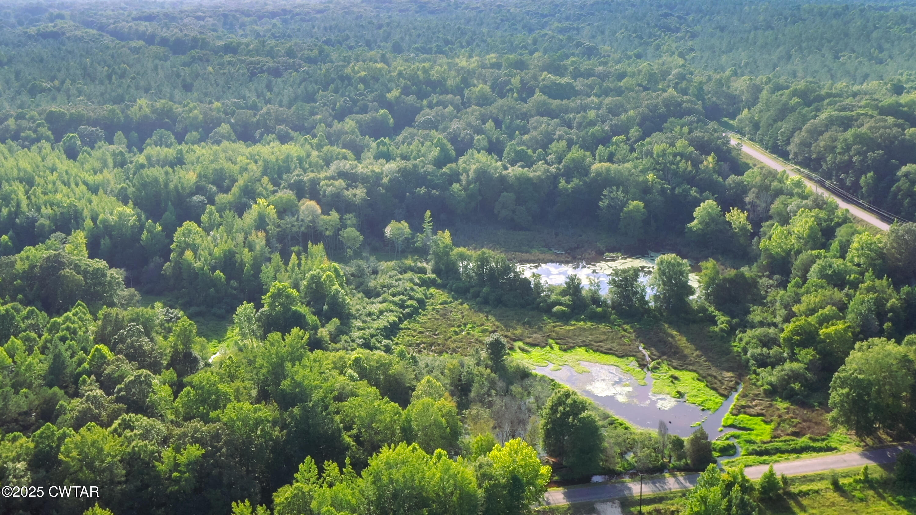 0 Roberts Road Pinson, TN 38366 - Photo 13 of 14 a view of a lake