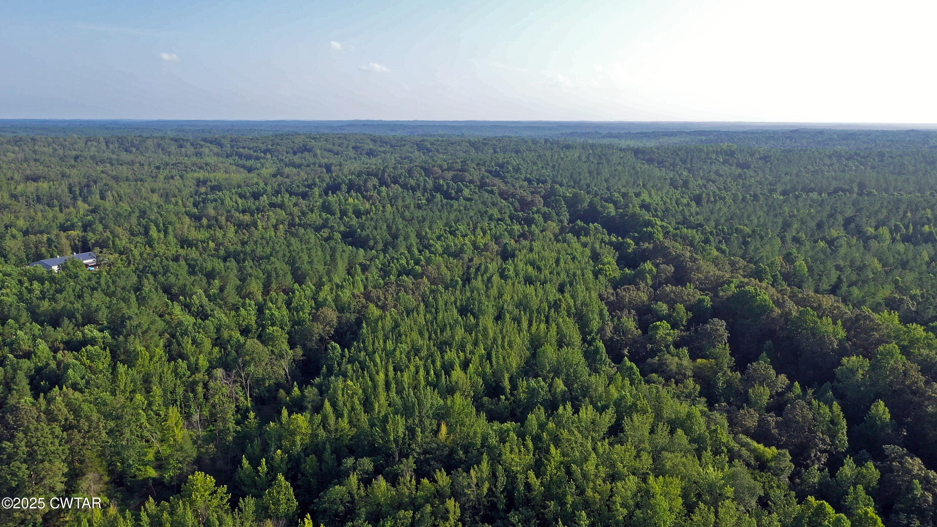 0 Roberts Road Pinson, TN 38366 - Photo 6 of 14 a view of a lush green field